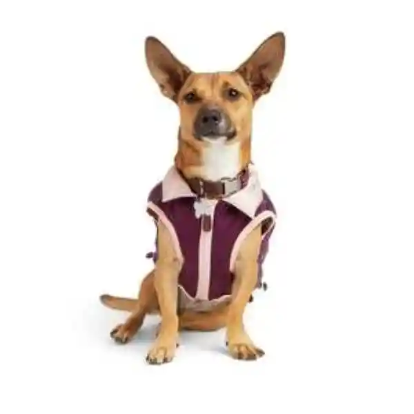 Reddy Winter Chamarra Puffer Para Perro Color Morado Chico