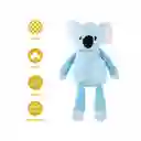 Peluche Osos Koala Miniso