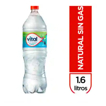 Agua Mineral Sin Gas 1.6l