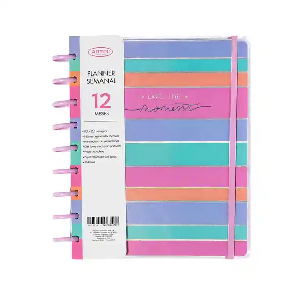 Artel Importado Planificador 12 Meses Discos Franja Pastel