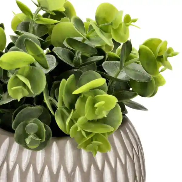 Planta Con Maceta Esférica 12 x 26 cm Casaideas