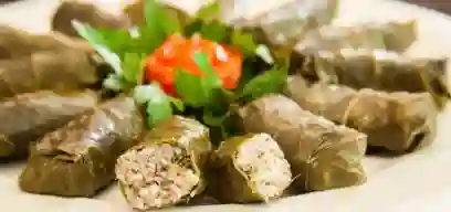 Hojas de parra x 15 uds