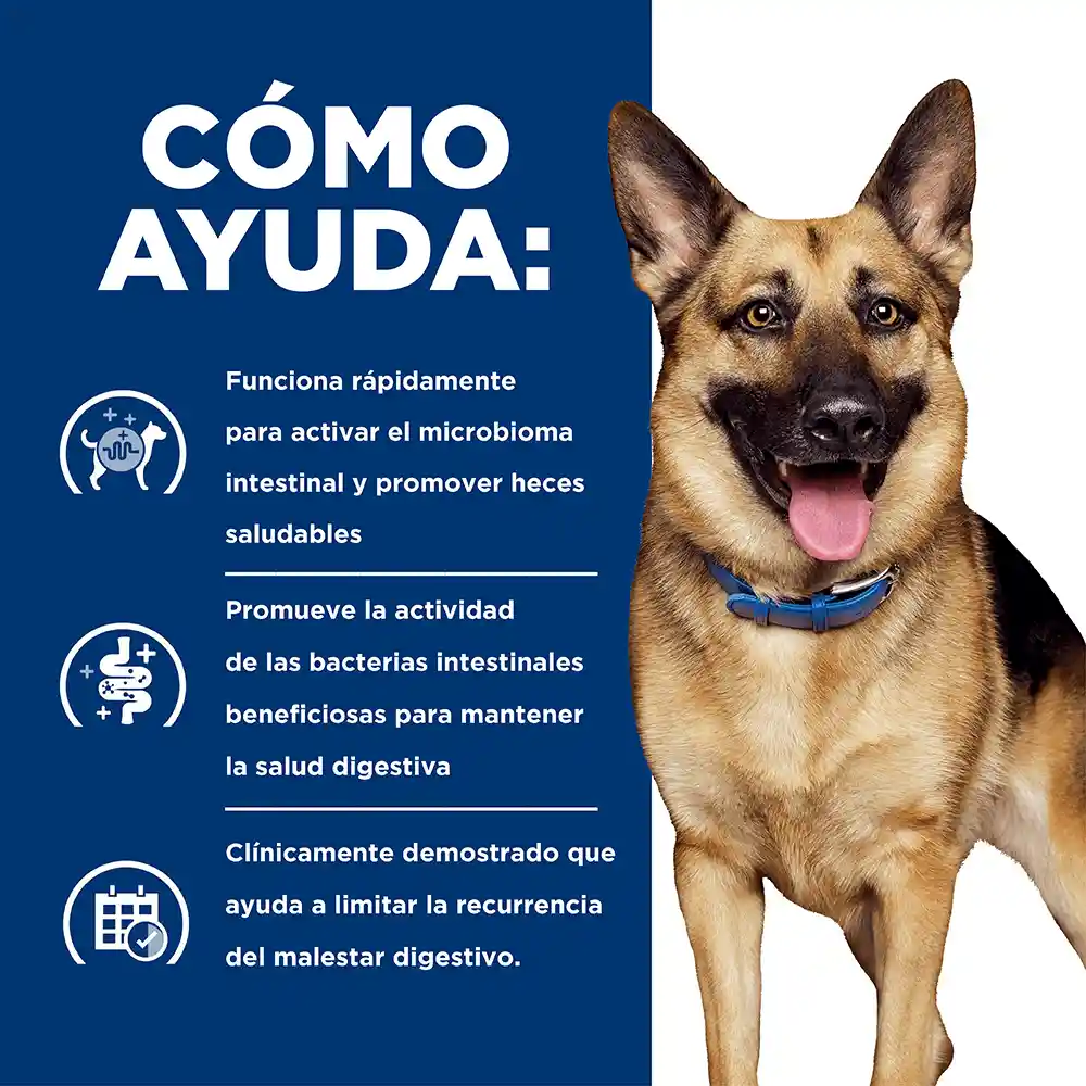 Hill's Alimento para Perro Adulto Gastrointestinal Biome