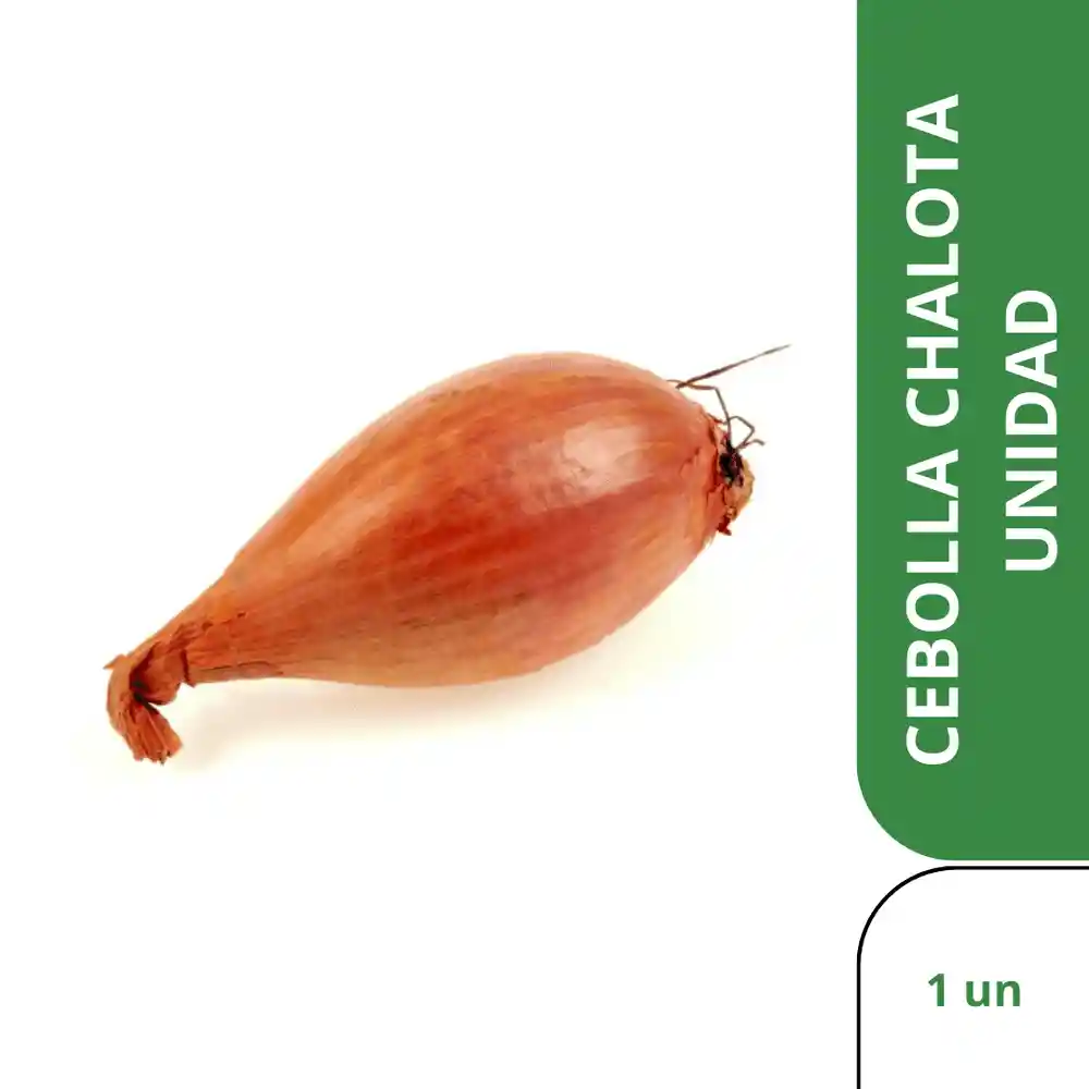 Cebolla Chalota Unidad