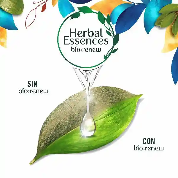 Herbal Essences Shampoo + Acondicionador Argan Oil of Morocco