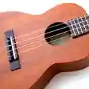 Ukelele Con Bolso 21P