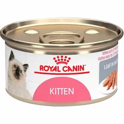 Royal Canin Alimento Para Gato Kitten