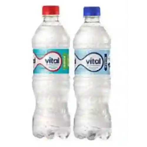 Agua Mineral Vital Botella 600ml