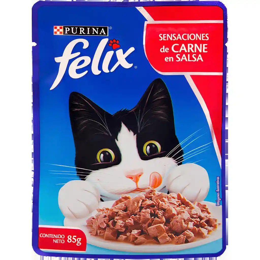 Felix Alim Gato Sobre Carne