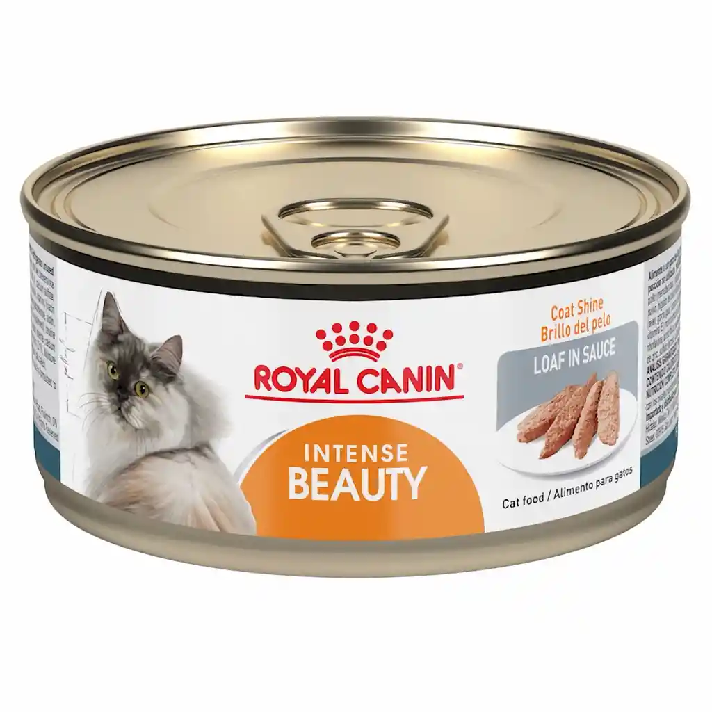 Royal Canin Alimento Para Gato Húmedo Adulto Intense Beauty