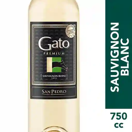 Gato Vino Blanco Sauvignon Blanc Premium