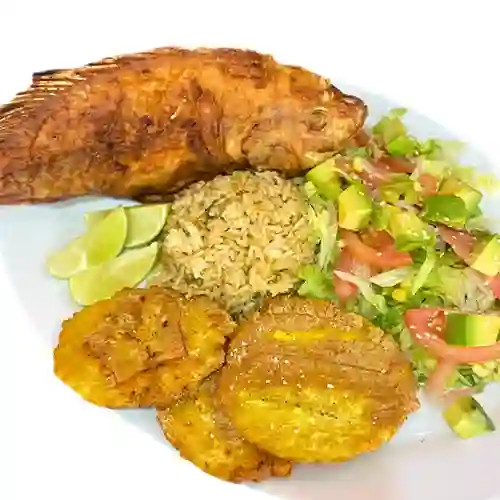 Tilapia Frita