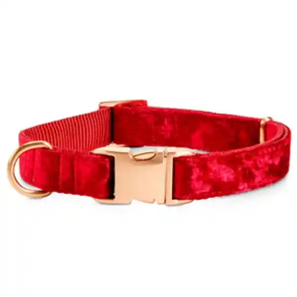 Bond & Co Collar de Terciopelo Rojo Con Broche Dorado Perro