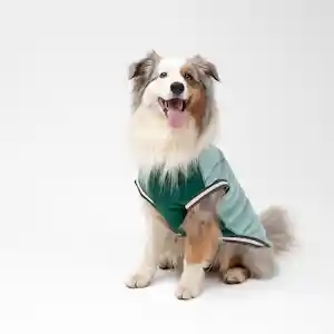Chaleco Polar Para Mascota Verde Xl