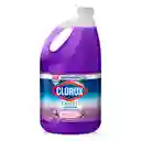 Clorox Limpiador Desinfectante Lavanda