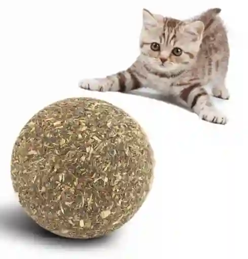 Bola de Catnip Prensado Para Gato