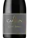 Carmen Gran Rva Vino Tinto Pinot Noir 750 cc