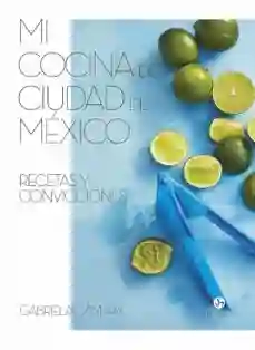 Mi Cocina de Ciudad de Mexico