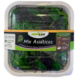 Mix asiáticos procesado bandeja 120 g