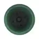 Maceta Con Ruedas Casaideas