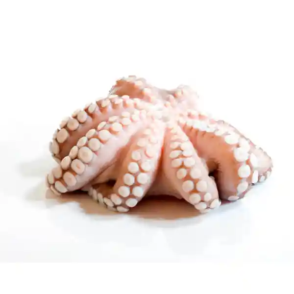 Pulpo Crudo