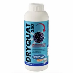 Anasac Desinfectante Dryquat 250 (Amonio Cuaternario) 1 L