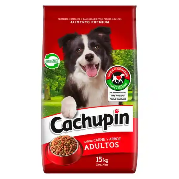 Cachupin Alimento Para Perro Adulto Carne