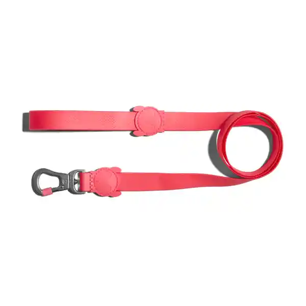 Zeedog Correa Neopro Bubblegum Mediana