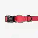 Zee.Dog Collar Neon Coral Medium