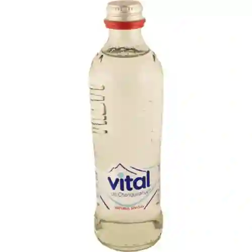 Agua Mineral con Gas de 330 ml