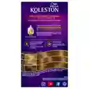 Koleston Wellacrema Color Permanente Tono 777 Marron Armonia