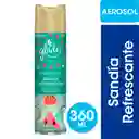 Desodorante Ambiental Glade Aerosol Aire Silvestre 360ml