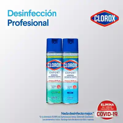 Clorox Desinfectante en Aerosol Expert