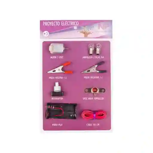 Np Manualidades Proyecto Eléctrico