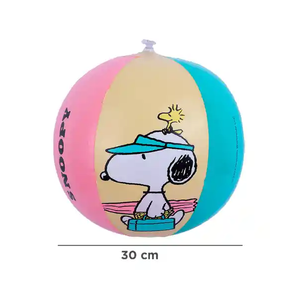 Pelota de Playa Miniso