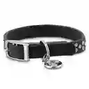 Bond & Co Collar Perro Cuero Brillantes Negro X-Chico/Chico