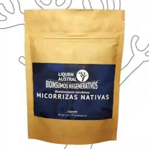 Austral Microrrizas Liquen