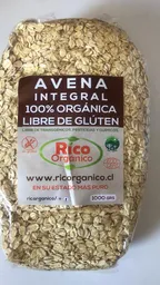 Ricorganico Avena Orgánica Sin Gluten