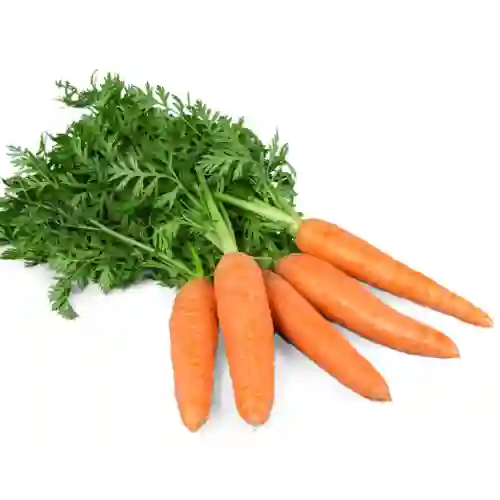 Zanahoria 100 Grs