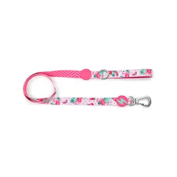 Dashi Correa Para Perro Flamingo Medium