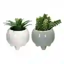 Maceta Redonda Con Cactus Decorativo Blanco