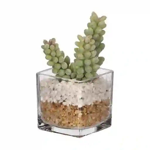 Maceta de Vidrio Con Cactus Casaideas