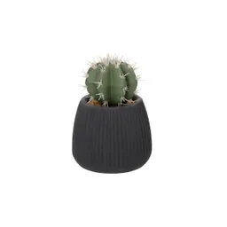 Maceta Texturada Con Cactus 3227979000023