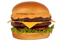 Hamburguesa de la Casa Doble