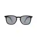 Lentes de Sol Dylan Black Inztinto