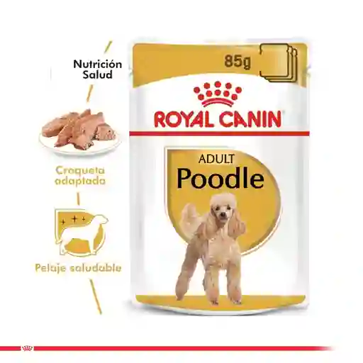 Royal Canin Alimento Para Perro Húmedo Adulto Poodle Pouch