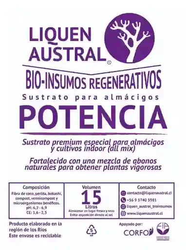 Austral Potencia Liquen