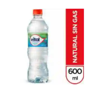 Agua Vital Sin Gas 600 ml
