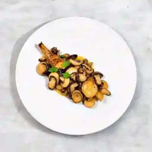 Congrio con Champiñones