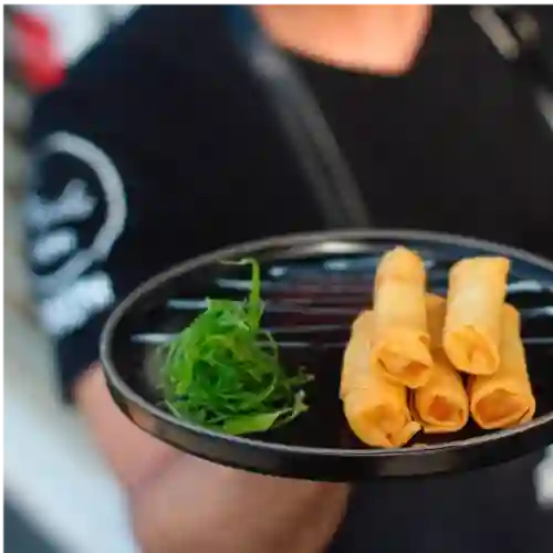 Arrollados Primavera 5